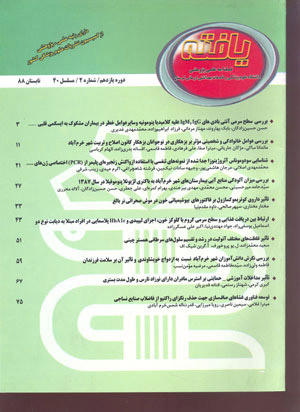 لوگوی هدر صفحه
